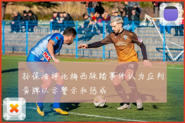 孙葆洁评论梅西踩踏事件认为应判黄牌以示警示和惩戒
