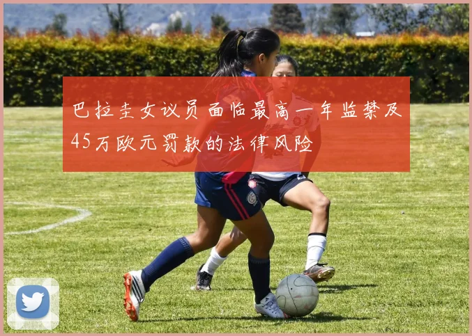 巴拉圭女议员面临最高一年监禁及45万欧元罚款的法律风险